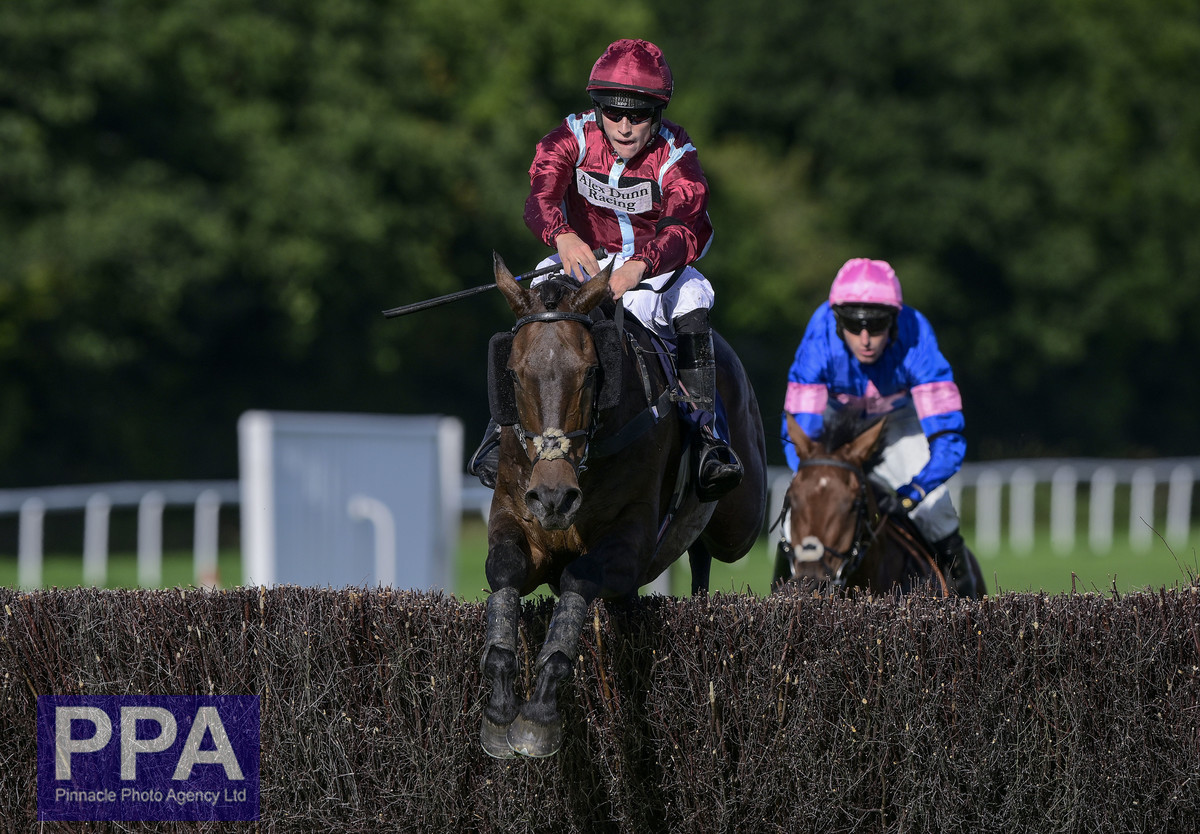 PPA Sports Content tweet media