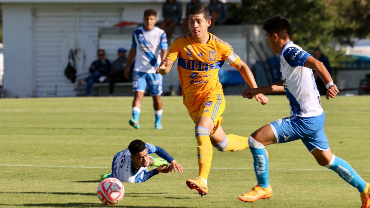 TigresOficial's tweet photo. 📰 Con gol de Ronaldo Nájera, @TigresFB #Sub20 consiguió el empate 1-1 en su visita a Puebla y se mantiene en zona de liguilla.

#SiempreContigo 👊🏼 #EstoEsTigres 🐯 https://t.co/Rit7oTAl77