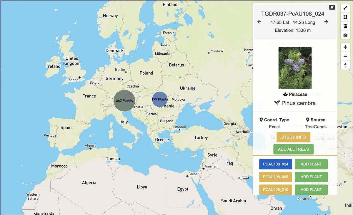 TreeGenes's tweet image. FEATURED STUDY: #GeneticStructure in Pinus cembra from the #Carpathian Mountains inferred from nuclear and chloroplast #microsatellites confirms post-glacial range contraction and identifies introduced individuals
By: Bertalan Lendvay et al.
See 685 trees: treegenesdb.org/cartogratree?a…