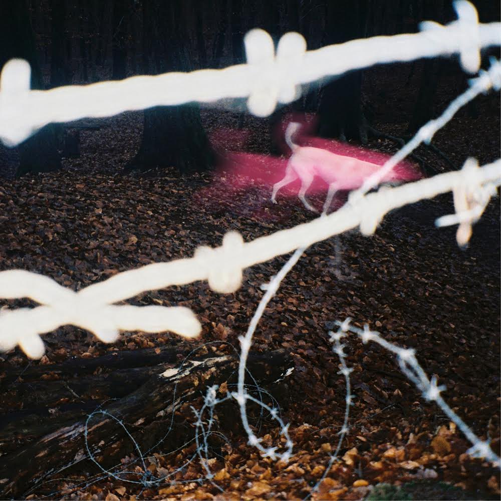 hippietrim tweet media