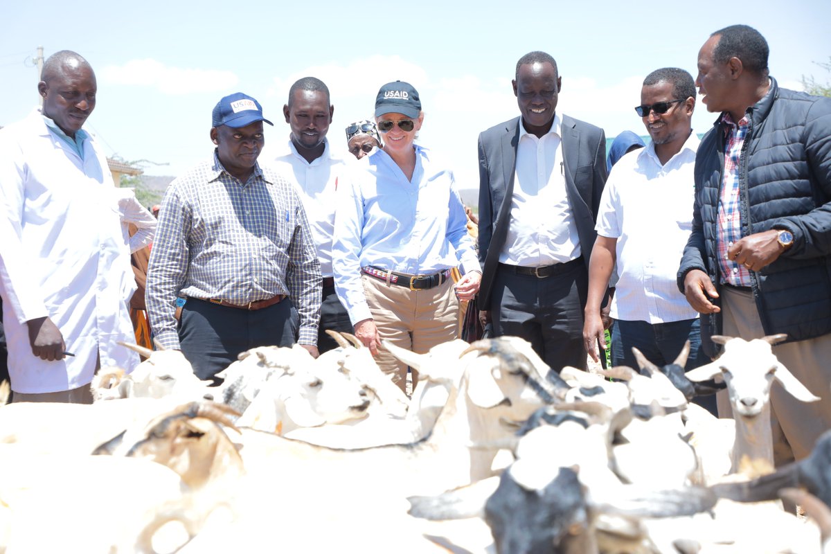 To date, USAID has constructed 20 livestock markets in five counties in northern Kenya to boost #trade and income for pastoral families. At the Isiolo Livestock Market, @MauraBarryBoyle met with the market managers, traders, and members of cooperative societies. #USAIDTransforms