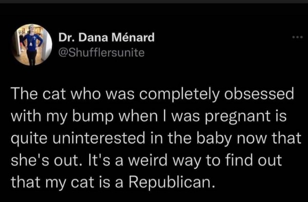 It's funny because it's true.😹