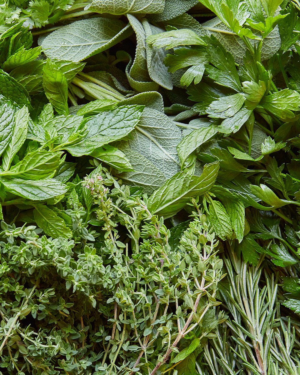 SAVEURMAG's tweet photo. Ways to use up your herb surplus before they go bad: https://t.co/PTe3W84lhj https://t.co/euKTUjrB0B