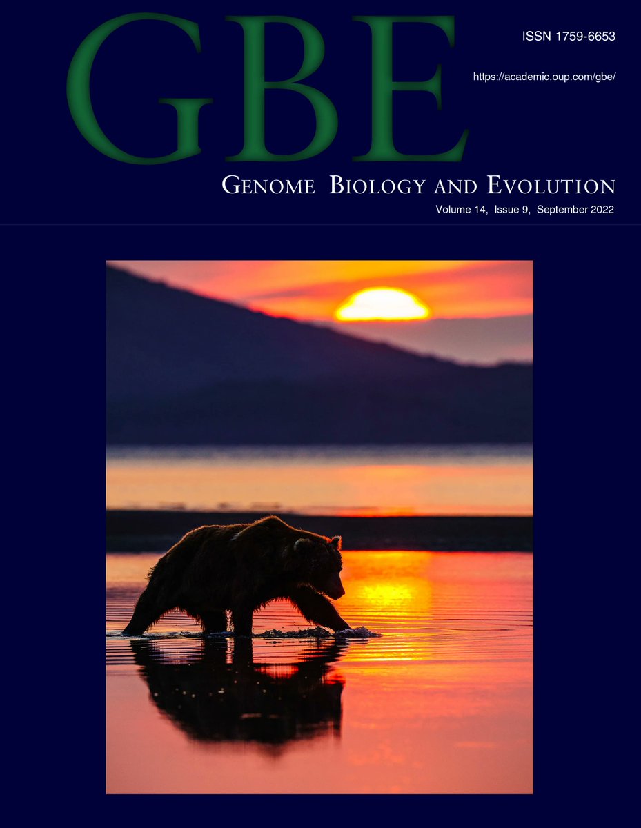 September's beautiful cover image accompanies a new Genome Report - A beary good genome: Haplotype-resolved, chromosome-level assembly of the brown bear (Ursus arctos) buff.ly/3LpyvMR Photo Credit: Dave Shumway, ForTheLoveOfBears.org