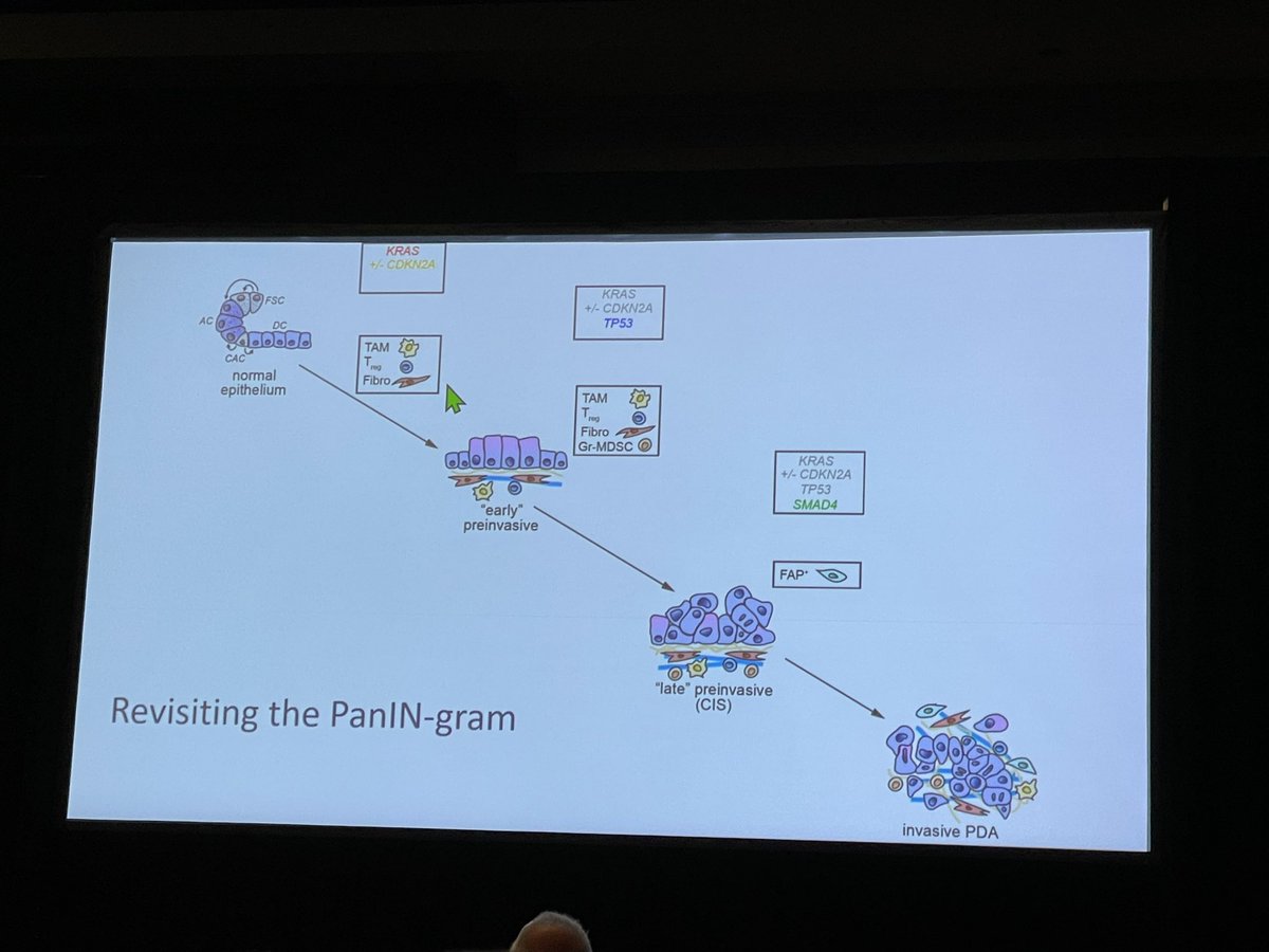 Lively, informative & thoroughly entertaining debate re targeting tumor-stromal complicity (@HingoraniLab) vs tumor cell compartment (@HCCvPDAC) to achieve maximal therapeutic efficacy against #PDAC #pancsm #AACRpan22 @AACR