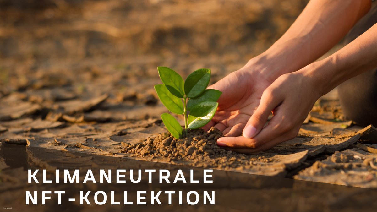 SwissCryptoMarv's tweet photo. Klimaneutrale NFT-Kollektion! Pro Senectute beider Basel nutzt für die «Swiss Crypto Marvels» die Polygon-Blockchain. Somit werden die CO2-Emissionen um 99.7% reduziert. Die Restemissionen werden mit myclimate kompensiert. Mehr Infos in FAQs unter https://t.co/X52M2RYUtv https://t.co/v1cSsKNLbB