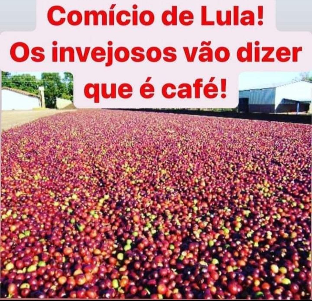 André Santos #fechadocombolsonaro🇧🇷🇧🇷🇧🇷💪🏻 (@andrebrasil1972) on Twitter photo 