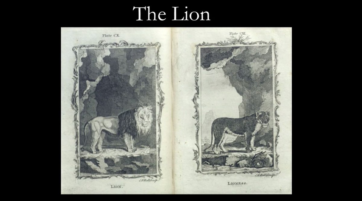 POPanimals_2022's tweet photo. Followed by Theo Campbell talking about “The Anxiety of Brom Bones: Animality and Whiteness in Washington Irving’s ‘The Legend of Sleepy Hollow’”. https://t.co/KUnzPd18tx