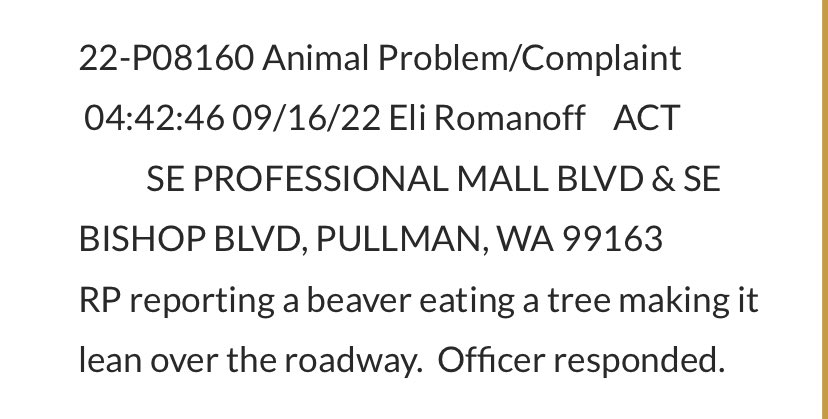 WSUPullman's tweet photo. Uh, @OregonState… 🦫 https://t.co/JBgyeVrOr5