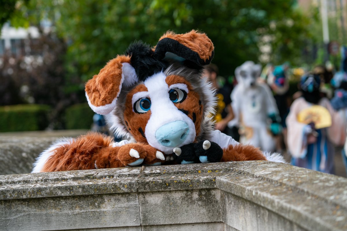 Happy #FursuitFriday! Hope everyone has had a great day and hopefully and even better weekend~🥰