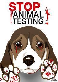 marillion13's tweet photo. Your Gift Today Will Be MATCHED to Help Stop Animal Testing! #SharingIsCaring for me (like always) as #MultipleDisabled #LongtimeLupusSurvivor on #SocialSecurity.
#EndAnimalTesting #TestOnAnimalAbusers &amp; other criminals instead.
https://t.co/pbP5OrqQO6
@peta https://t.co/iuXn0ORrcW