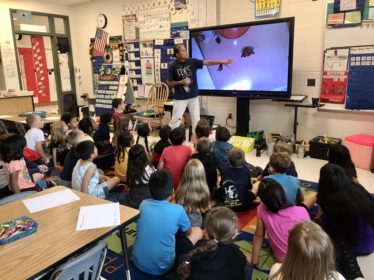miss_wongg's tweet photo. 2nd grade loves Mrs. Cunningham! We visited the kindergarten Monarch Butterfly lab to see the chrysalises, review life cycles, and discuss a broken wing we found in the #GardenLab 🦋🤩🧡 @FDEStars @MissEstero https://t.co/WQYQMvQnd2