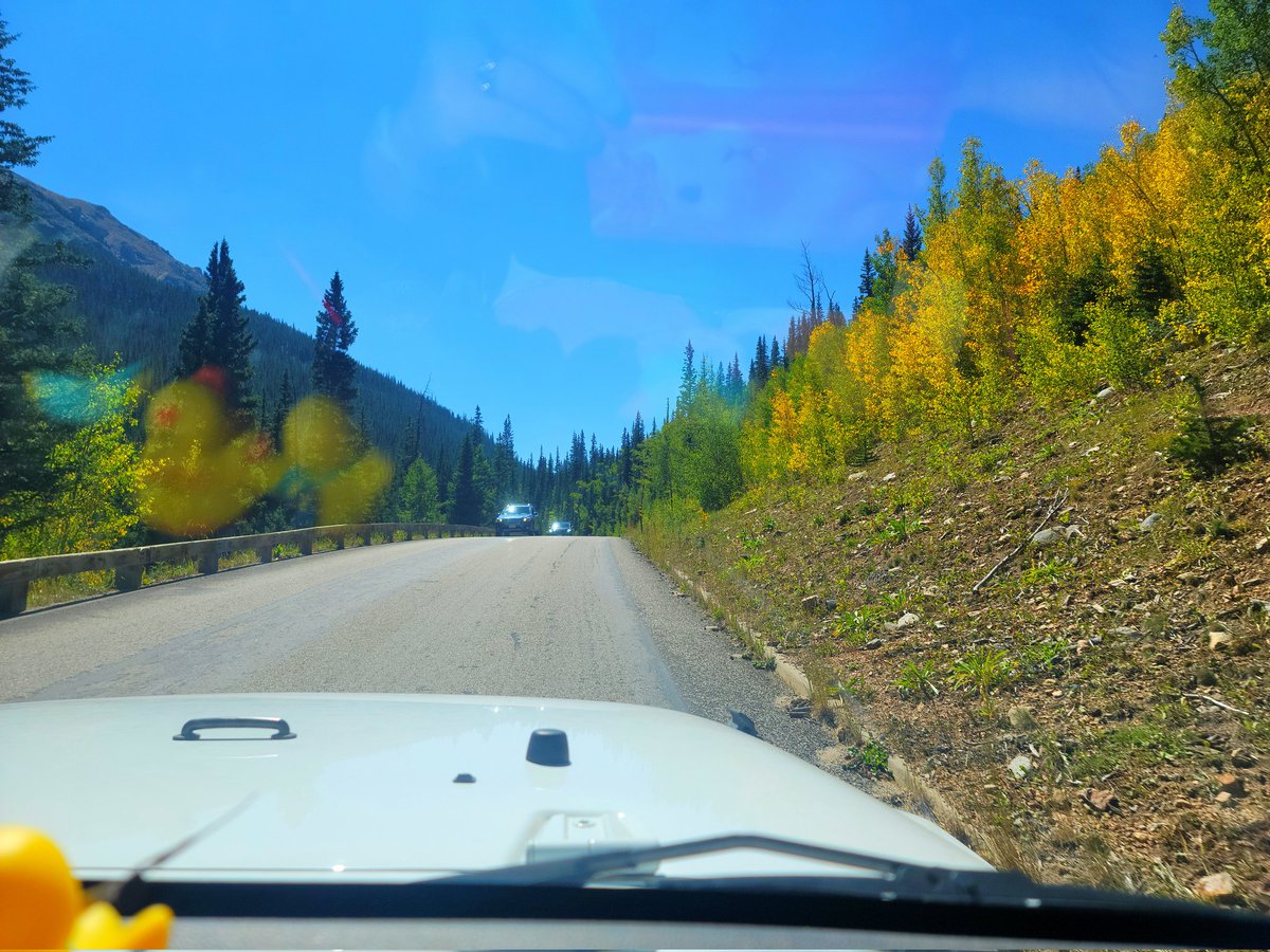 SindyDoll4's tweet photo. The Aspen trees are already starting to turn gold just outside Georgetown and over Guanella Pass. It's going to be beyond beautiful in a week or two. #LeafPeeping #Colorado #ColoradoGold #Aspens #GuanellaPass #AutumnLeaves #fall #jeeplife #jeepgirl #JeepAdventures https://t.co/p9RvFQeykj