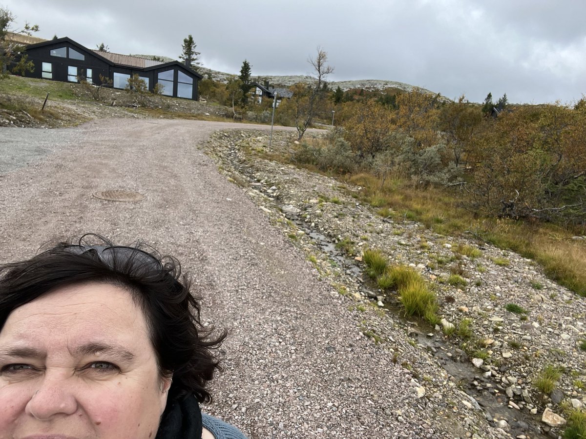stineakre's tweet photo. Hyttebygging på snaufjellet? Nei takk sier vi i @Trysil_SV vi foreslår stopp i hyttebygging rundt #trysilfjellet - det er fullt! Vi vil ha utbyggingsgrenser, forbud mot hyttebygging på myr, og fjerne 1500 tomter fra hyttereserven! @SVparti @SV_Karin @Haltbrekken @ostlendingen https://t.co/DMylYk9vke