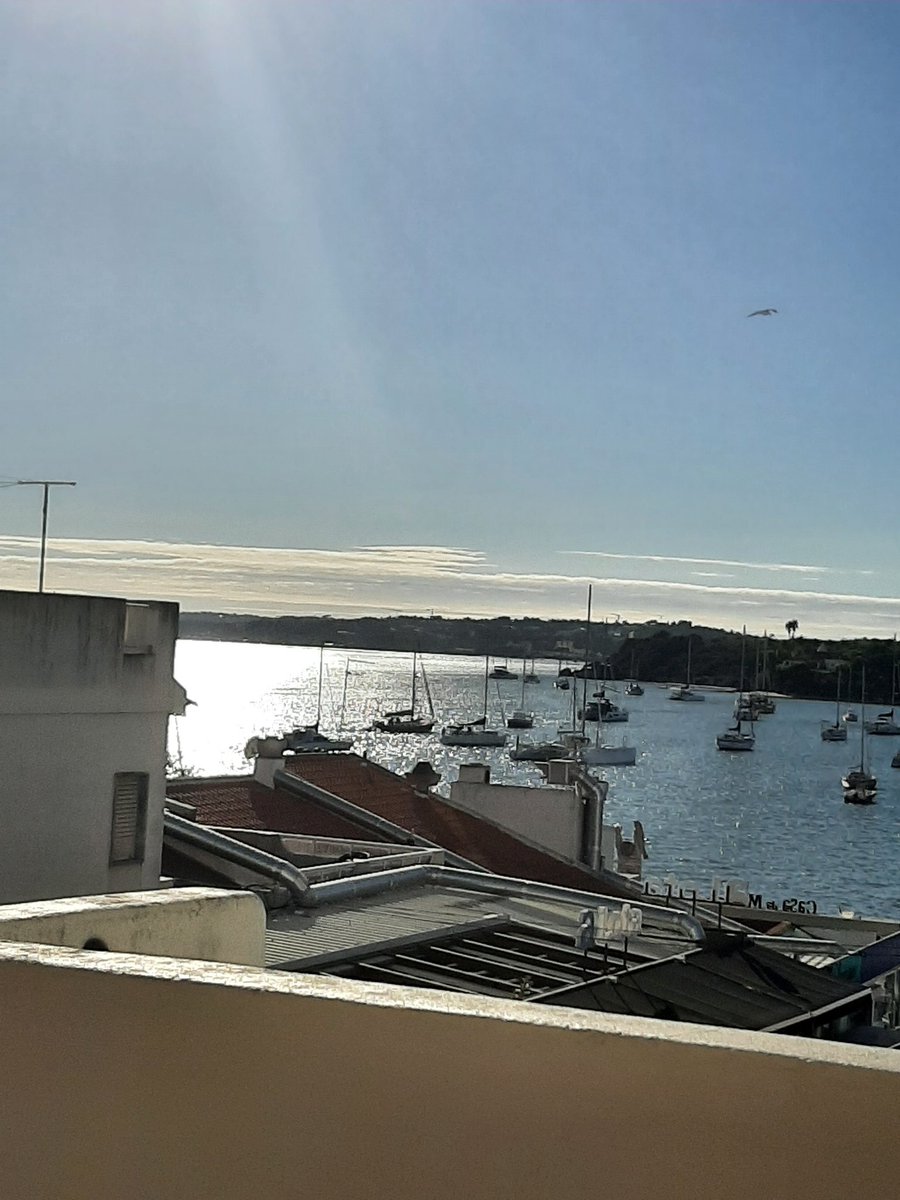 HareMichala's tweet photo. My current view #Alvor https://t.co/GVEtGn7tso