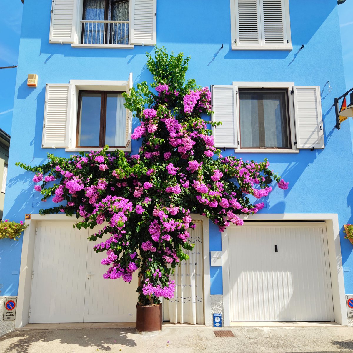 nasuptra's tweet photo. Bella Italia 🇮🇹

#🇮🇹 #Italia #italy #italien #🌺 #fiori #flowers #blumen #🧳 #viaggiare #Travel #Reisen https://t.co/iZYMwUbhGy
