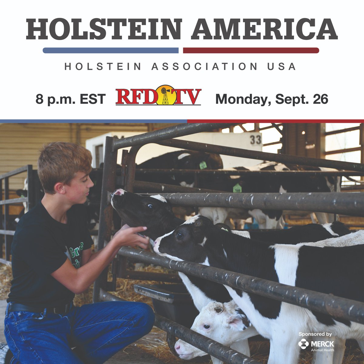 Celebrating five years as the nation’s leading television broadcast highlighting the dairy community, Holstein America airs at 7 p.m. CST, Monday, September 26, on RFD-TV.
The documentary series pays tribute to dairy farmers and families from coast to coast. 🐄
#HolsteinAmerica