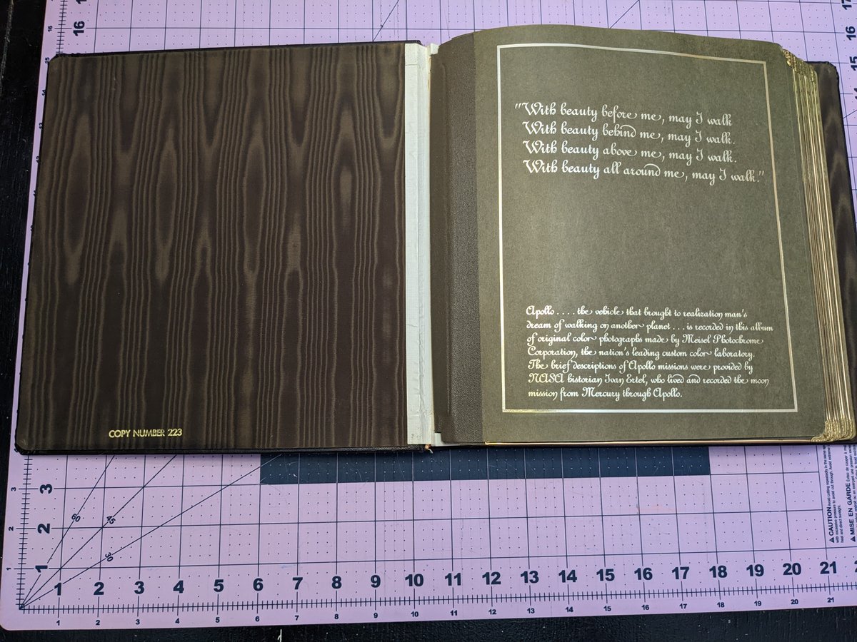 sleepy_queer's tweet photo. Hey @Sotherans , I just sent in a form on your site to see if you might be interested in this "book". 

I'm really hoping to find out what it even is; the only things I can find out about it online are other people also wondering what it is. 

Anyone who might know, plz reply! https://t.co/WgZjfXR8cI