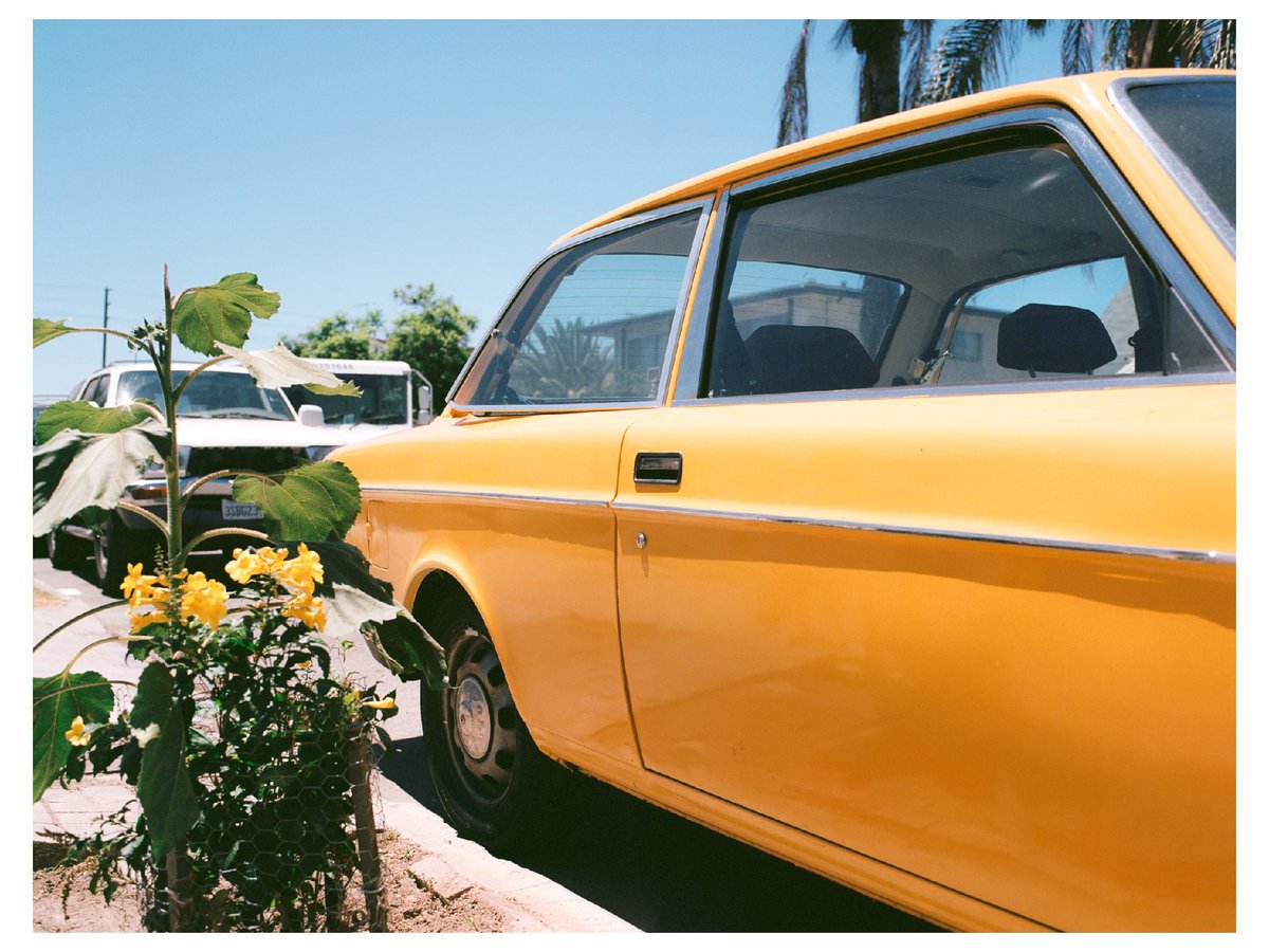 Agent Yellow. 
#filmphotography #filmphotographer #mediumformat #6x45 #mamiya645 #ektar100 #losangeles #yellow