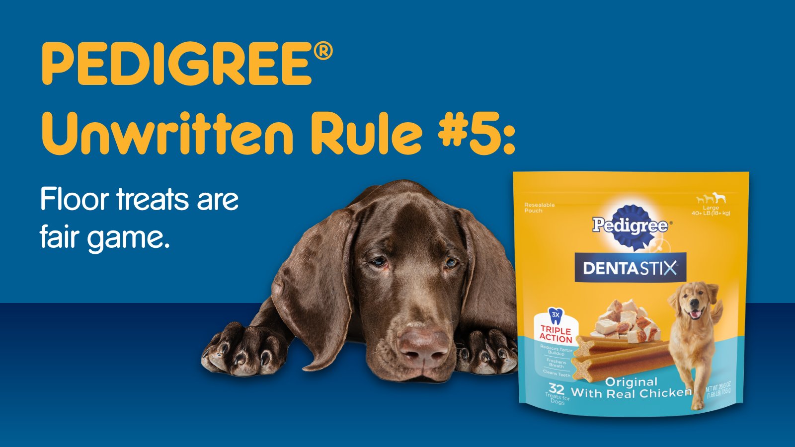 Pedigree dog name deals