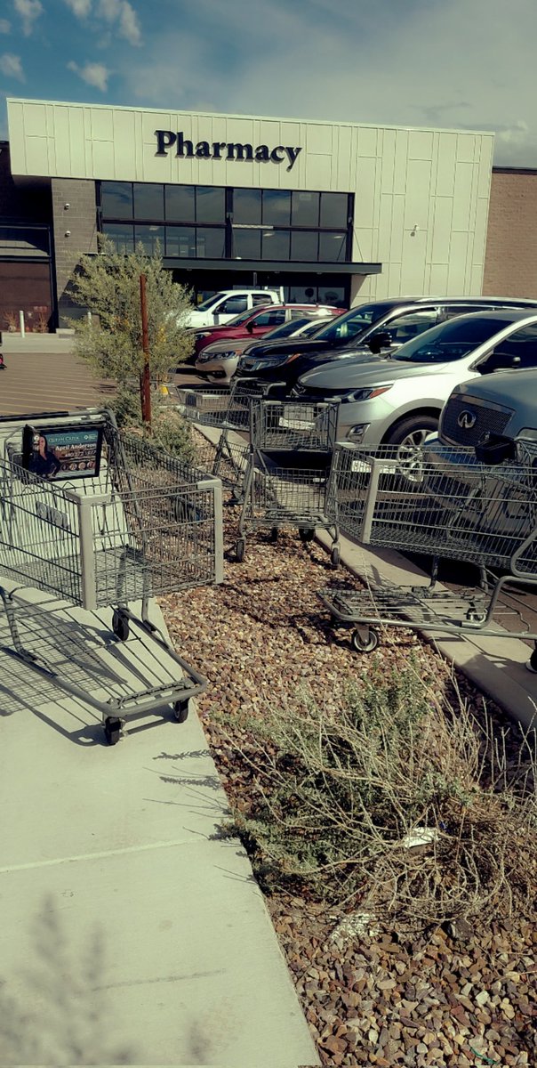 SimoneEndres's tweet photo. And the cart corral is literally right behind me. #AZYoureTheWorst! https://t.co/WiyTVibQMg