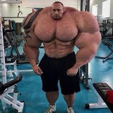 Lipids4prez's tweet photo. @ProteinInk, see what you’re doing to people💀 https://t.co/6YQ3BXBJUe