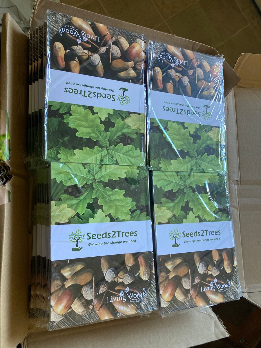 LivingWoodsNE's tweet photo. Our #Seeds2Trees postcards are ready for #beanfeast at Head of Steam: Darlington Railway Museum with @NorthernSeedSov. Hope you can join us and support this awesome project to #growthechangeweneed https://t.co/vvIX7RM4oj