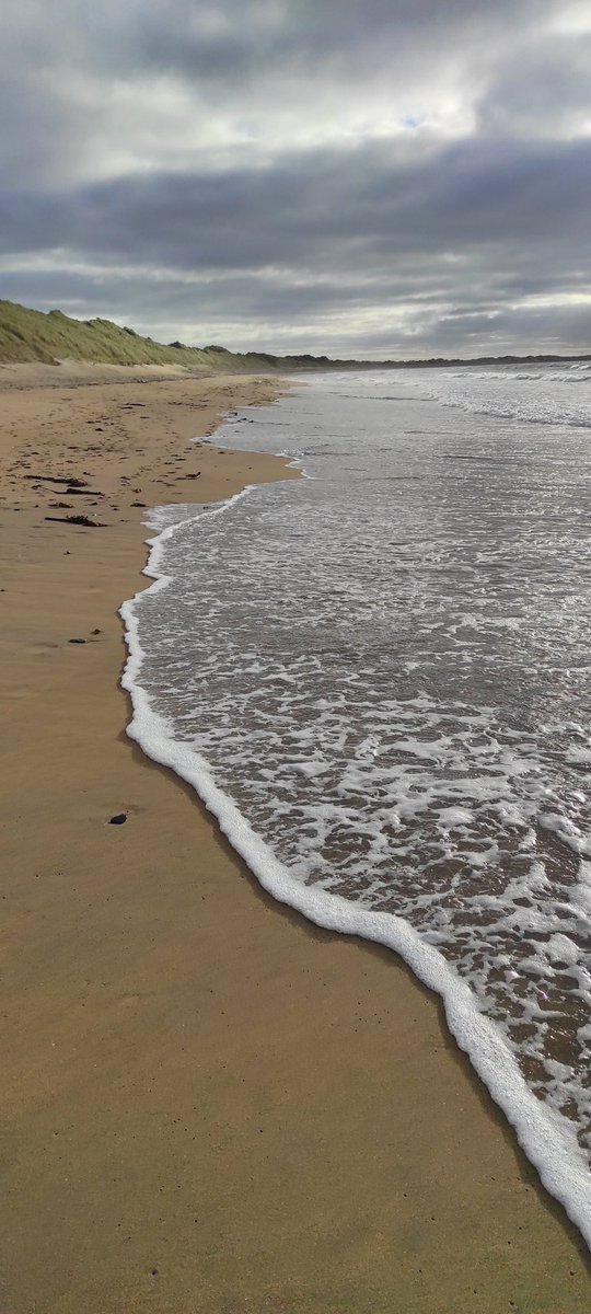 All roads lead to North #Sligo this weekend-Come join us from this eve to Sunday for a variety of activities and events including lectures,parade,Spanish music,Céili Mór,8 km run/walk,Big Beach Clean, Story Sessions by the Sea,Irish Seaweed Kitchen Family session #lovesligo  🇪🇸🇮🇪