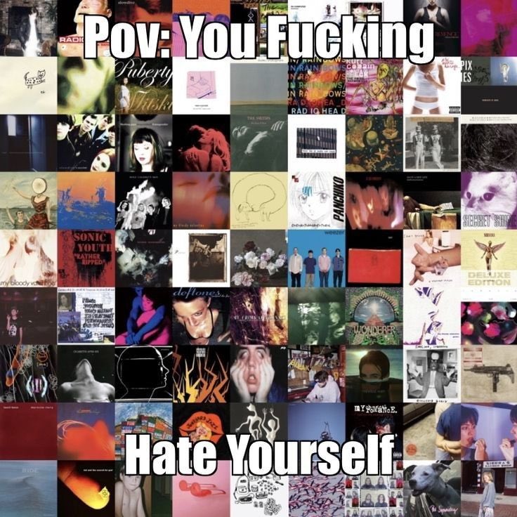 cat vibing music (@catdancingg) on Twitter photo 