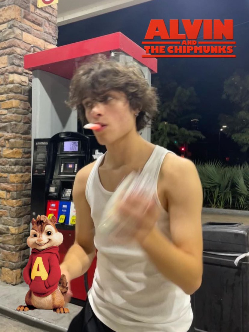 ◞ 𝐀tençα̃o, αtençα̃o ៸៸
      𓍢. esquilinho em adoção 

eae gente, aqui é o Alvin, aquele da banda de esquilos sabe? tô aqui procurando meus irmãos e também as esquiletes, quem puder dar rt e fav aí pra virarmos amigos :)