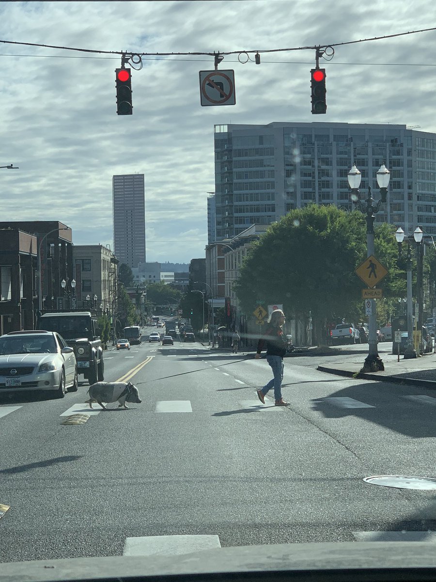 Here’s what is happening in Portland today. #portland