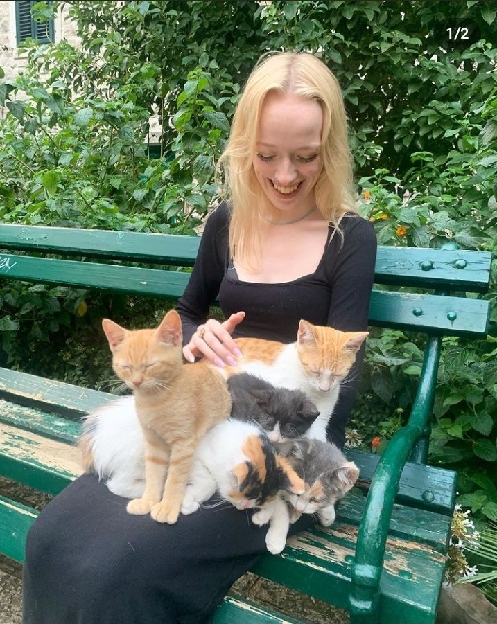 amybethinker's tweet photo. meow https://t.co/NnHJQ8dbBb
