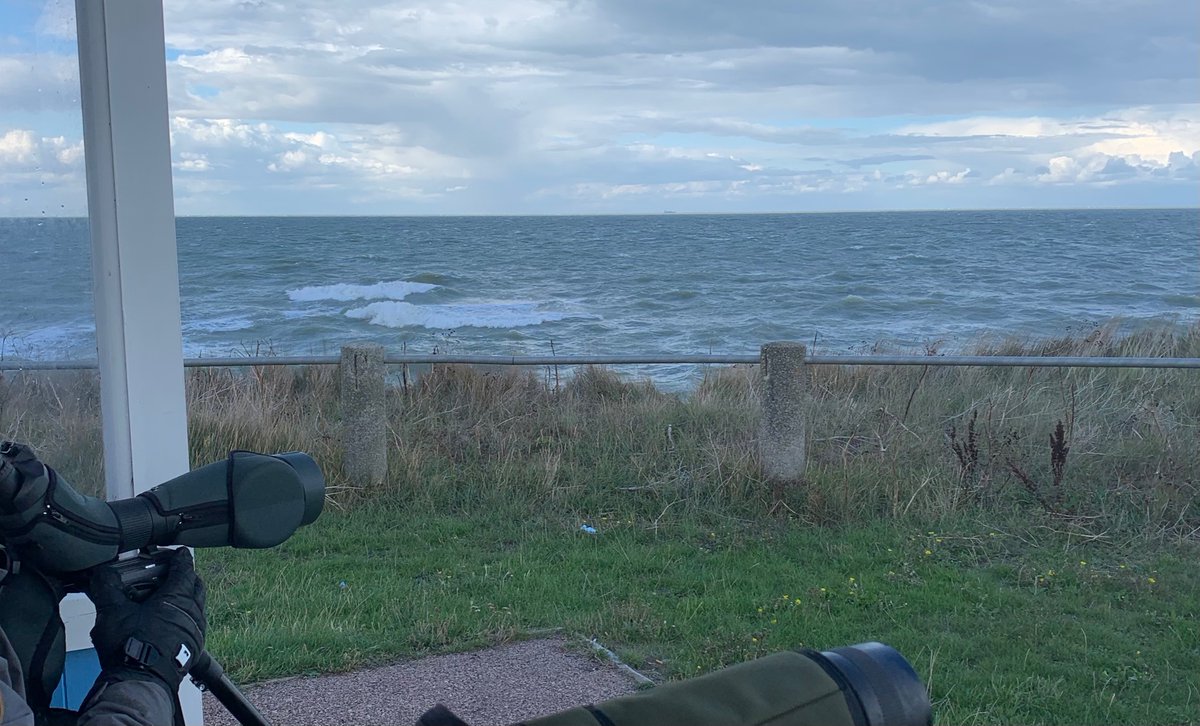 James King (@jamesking7341) on Twitter photo Grenham Bay, Kent: 2 Sooty Shearwater 15.40, 4 Arctic Skua, 116 Sandwich Tern, 7 Kittiwake and 8 Grey Plover all W in F6 NW with squalls 13.10-16.10 <a href="/WilsonMartyn/">martyn wilson</a> <a href="/KentishPlover/">KOS</a> <a href="/RareBirdAlertUK/">RareBirdAlertUK</a> Grenham Bay, Kent: 2 Sooty Shearwater 15.40, 4 Arctic Skua, 116 Sandwich Tern, 7 Kittiwake and 8 Grey Plover all W in F6 NW with squalls 13.10-16.10 <a href="/WilsonMartyn/">martyn wilson</a> <a href="/KentishPlover/">KOS</a> <a href="/RareBirdAlertUK/">RareBirdAlertUK</a>