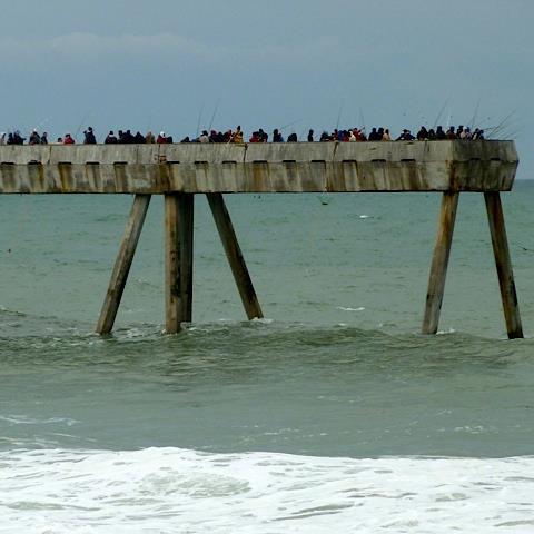 Out in the Bay Queer Radio + Podcast tweet media
