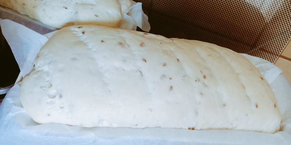 nico_patrascu's tweet photo. #bread #breadwithseeds https://t.co/omgTrQ1s6c