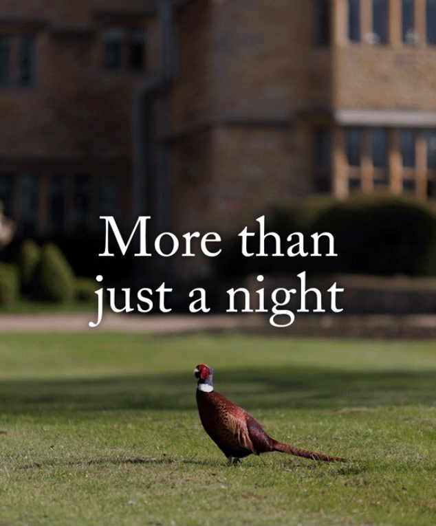 Buckland_Manor's tweet photo. Come and join us for a cozy Autumn Break here at Buckland Manor!🍂🍎☕

The seasons may change, but Buckland Manor is a monument to timeless beauty.

@Buckland_Manor @BrownswordHotel @RelaisChateaux 
#BucklandManor #Autumn #Cosy #Travel

Book Here ~ https://t.co/Wdg5lrxwTX https://t.co/Coy1wqAzem