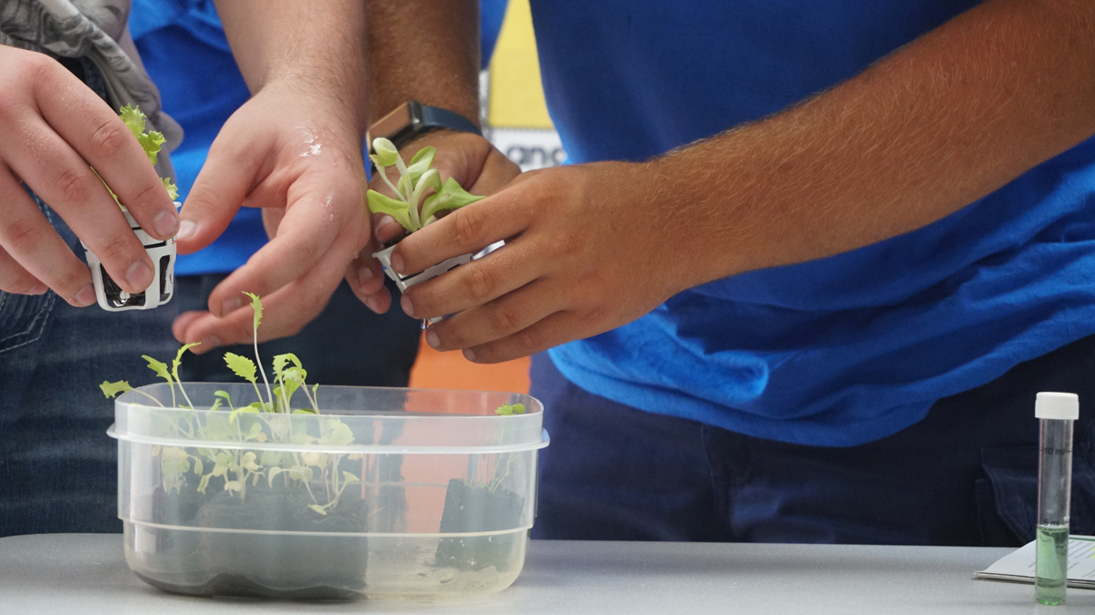 Lampeter-StrasburgSD tweet media