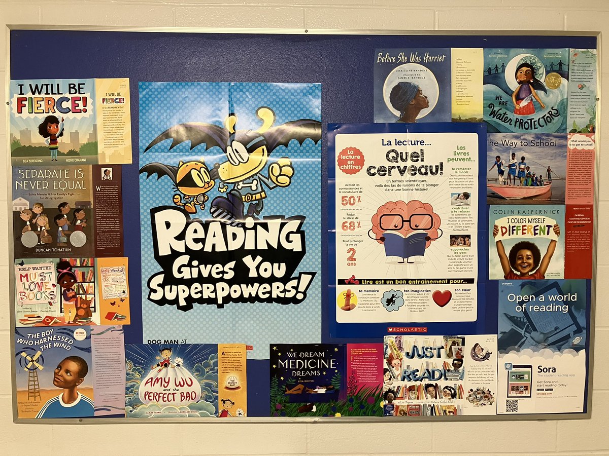 Come see our reading SUPERPOWERS & new SLLC books @PrincessAnneFI #TVDSBLLC #TVDSBLiteracy