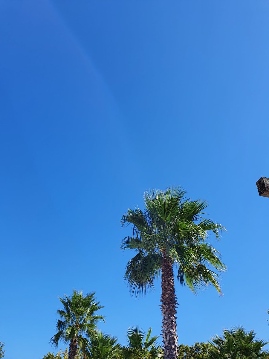 Cha Vico tweet media