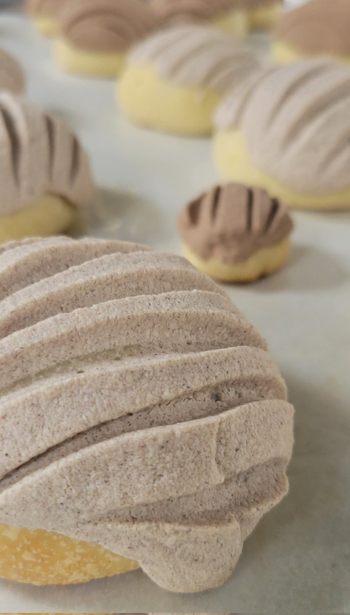 The first project of the Culinary Club came out delicious!!  Right on time to celebrate la Independencia de México 🇮🇹

Feliz Viernes!
Viva Hidalgo!
Viva Morton Mustangs!

#OrgulloMorton
#MortonPride