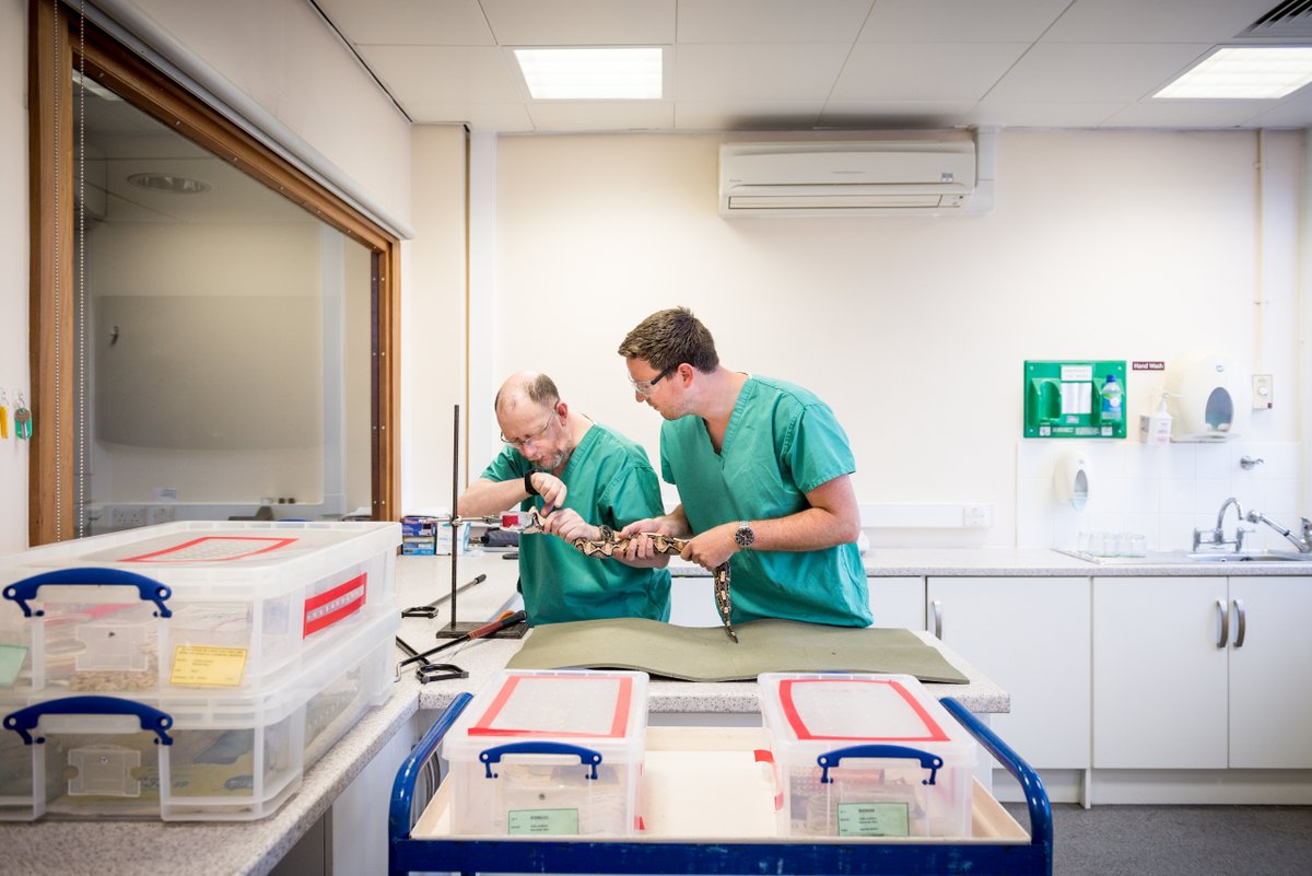 Have you ever had any questions about #snakes, #venom, #snakebite, #antivenoms or anything related to them and didn’t know who to ask? Here is your chance, ask away and our team will do their best to get back to as many of you as possible each week. #NTD #asktheexperts