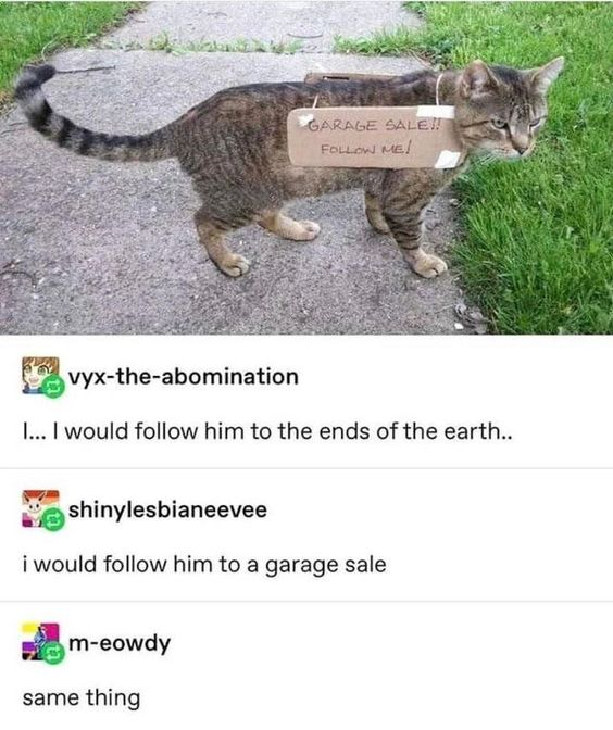 WholesomeMeme's tweet photo. https://t.co/aQqqys17jC