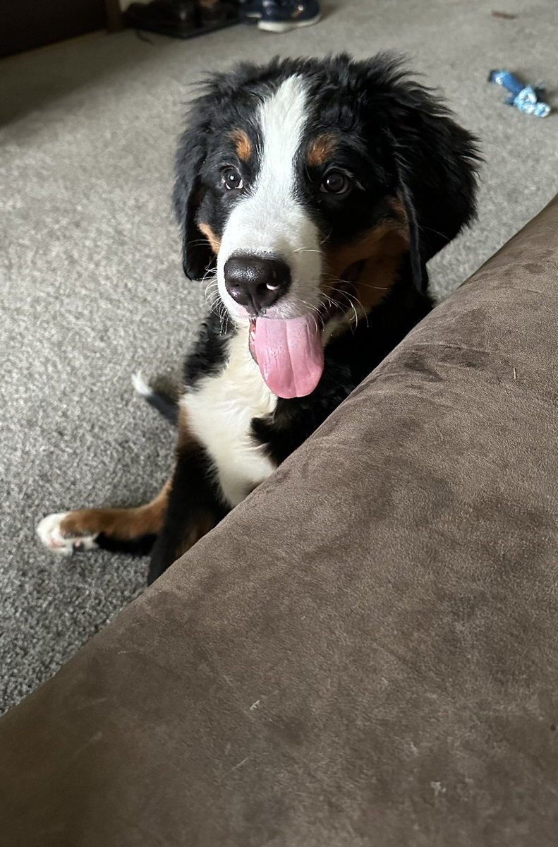 Grenvil14's tweet photo. Yama is ready for the weekend https://t.co/fVmBYIr5bN