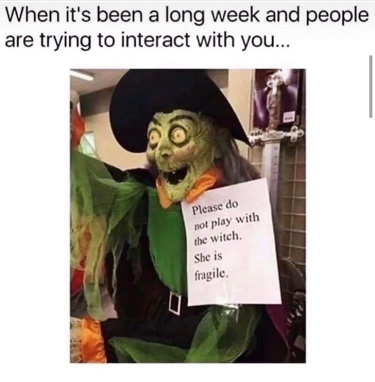 AshleyKayPHO's tweet photo. 🤣 https://t.co/18IyDgdHrJ