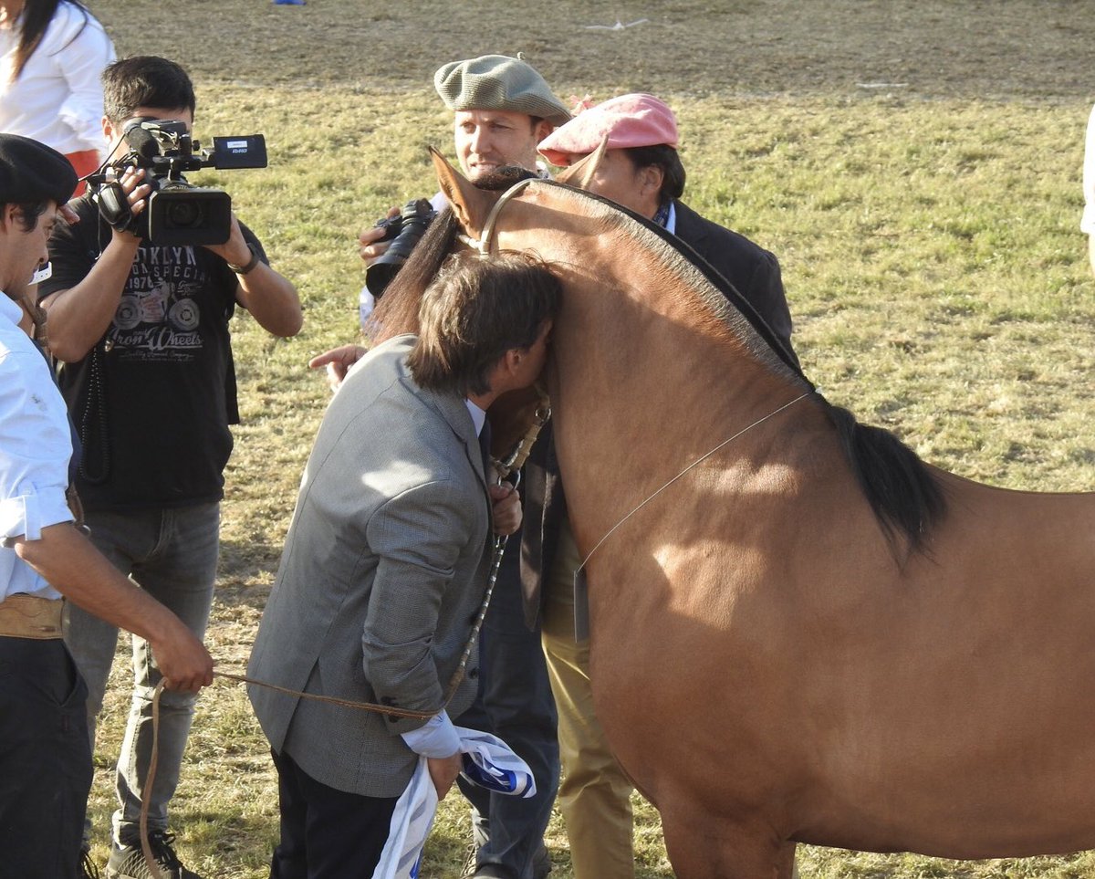 En 40 años yendo a la <a href="/ExpoPrado/">Rural del Prado</a> debe ser la 1era vez q veo a un Presidente darle un beso a un caballo. Estuvo unos segundos conversando al gateado, pensativo 🤔 …vaya a saber uno, q pasó por su cabeza…
Dame siempre un Presidente así, 💙 con los🐴  
#TheWhisperPresident 🇺🇾