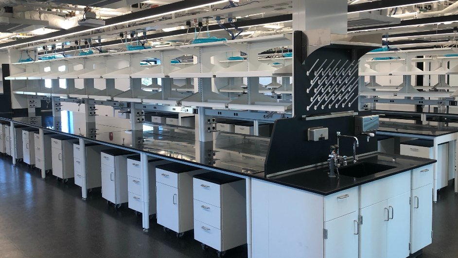 KathleenMulvan4's tweet photo. The Mulvaney Lab will launch this Fall in DC! I’m excited to start my tenure-track position at Fralin Biomedical Research Institute, Virginia Tech Carilion School of Medicine with dual membership at the Cancer &amp; Immunology Research Center of Children’s National Hospital. https://t.co/WDZP13Mom5