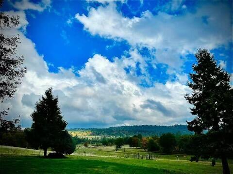 ReddingRep's tweet image. Maggie McGrath would love to show you the #listing at 14527 Oak Run #OakRun #CA  #realestate tour.corelistingmachine.com/home/ABBTMN