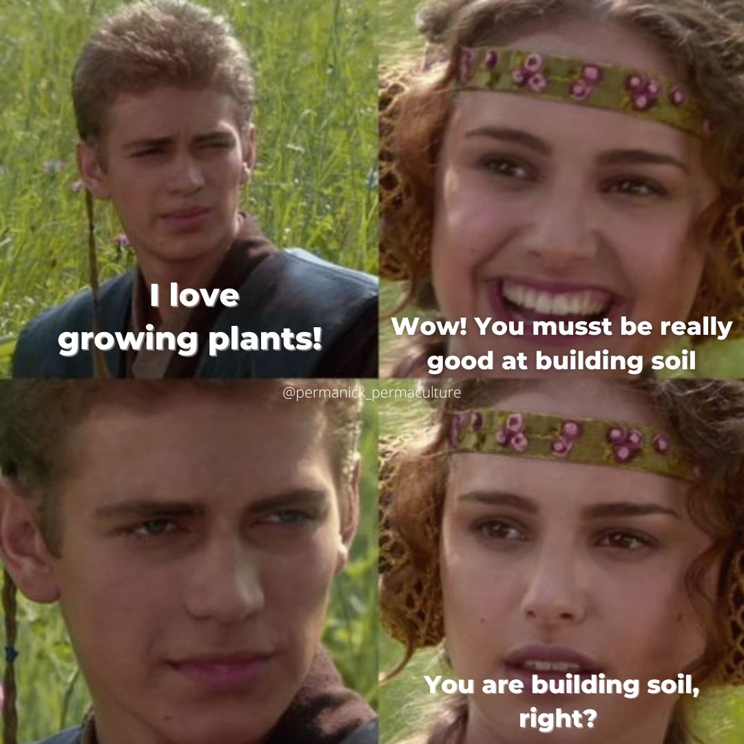 rtsciencewonder's tweet photo. Building Soil is the way... #regenerativefarming #farming #soilbuilders #solarpunk https://t.co/IGL0aVpvKF