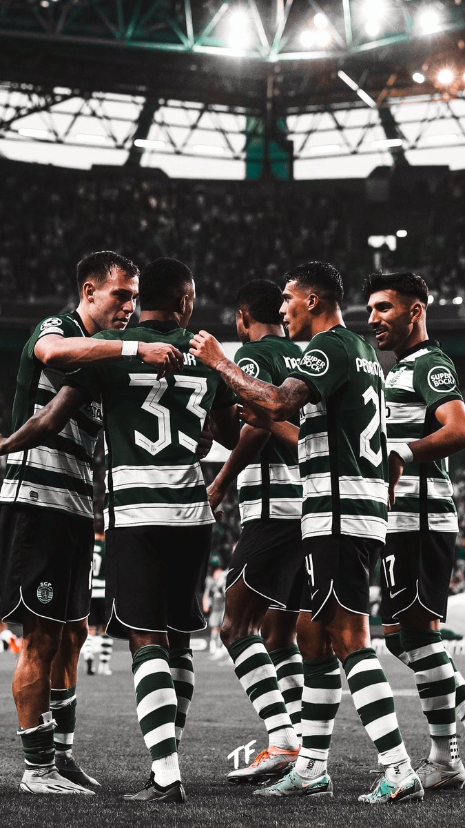 tf_sportedit's tweet photo. Sporting CP | Wallpaper 

#Sporting #SportingCP #SCPTOT #UCL https://t.co/7FvZfStpQG