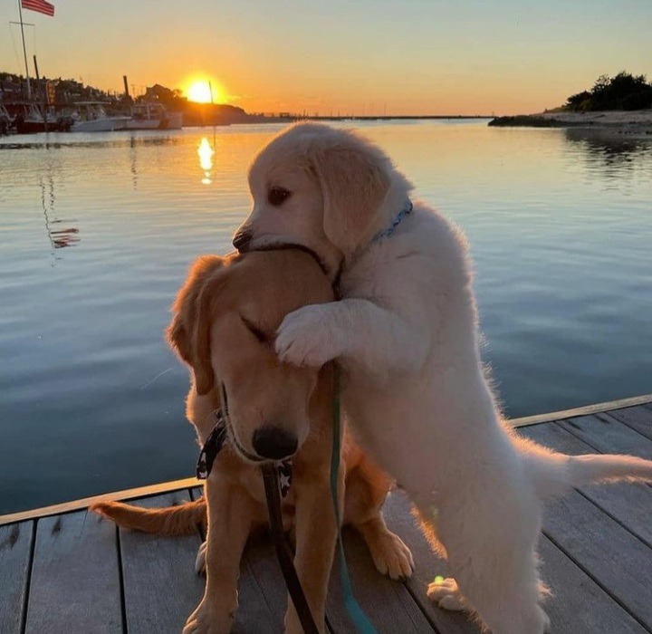 Culture (@cltrxx) on Twitter photo 